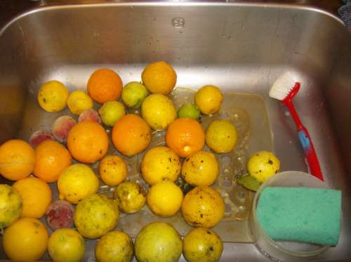 Fruits