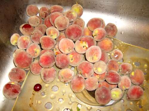 The peaches