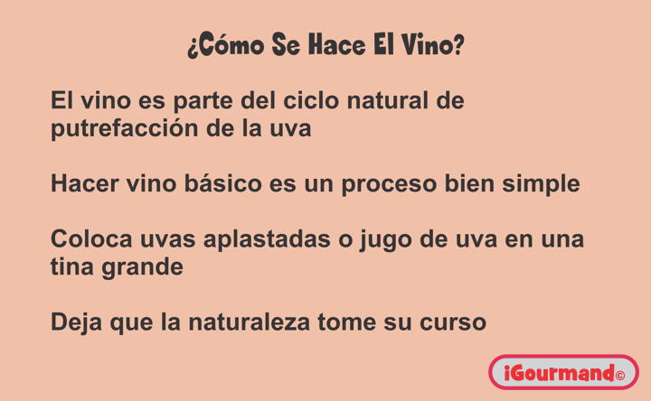 Una Introducción al Vino - 2010 - Sección 4