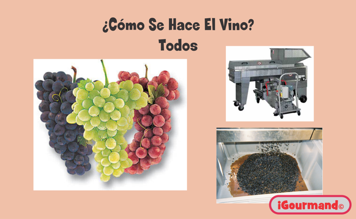 Una Introducción al Vino - 2010 - Sección 4