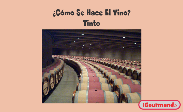 Una Introducción al Vino - 2010 - Sección 5