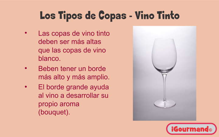 Una Introducción al Vino - 2010 - Sección 15