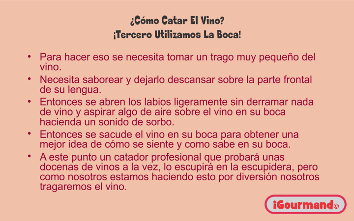 Una Introducción al Vino - 2010 - Sección 17